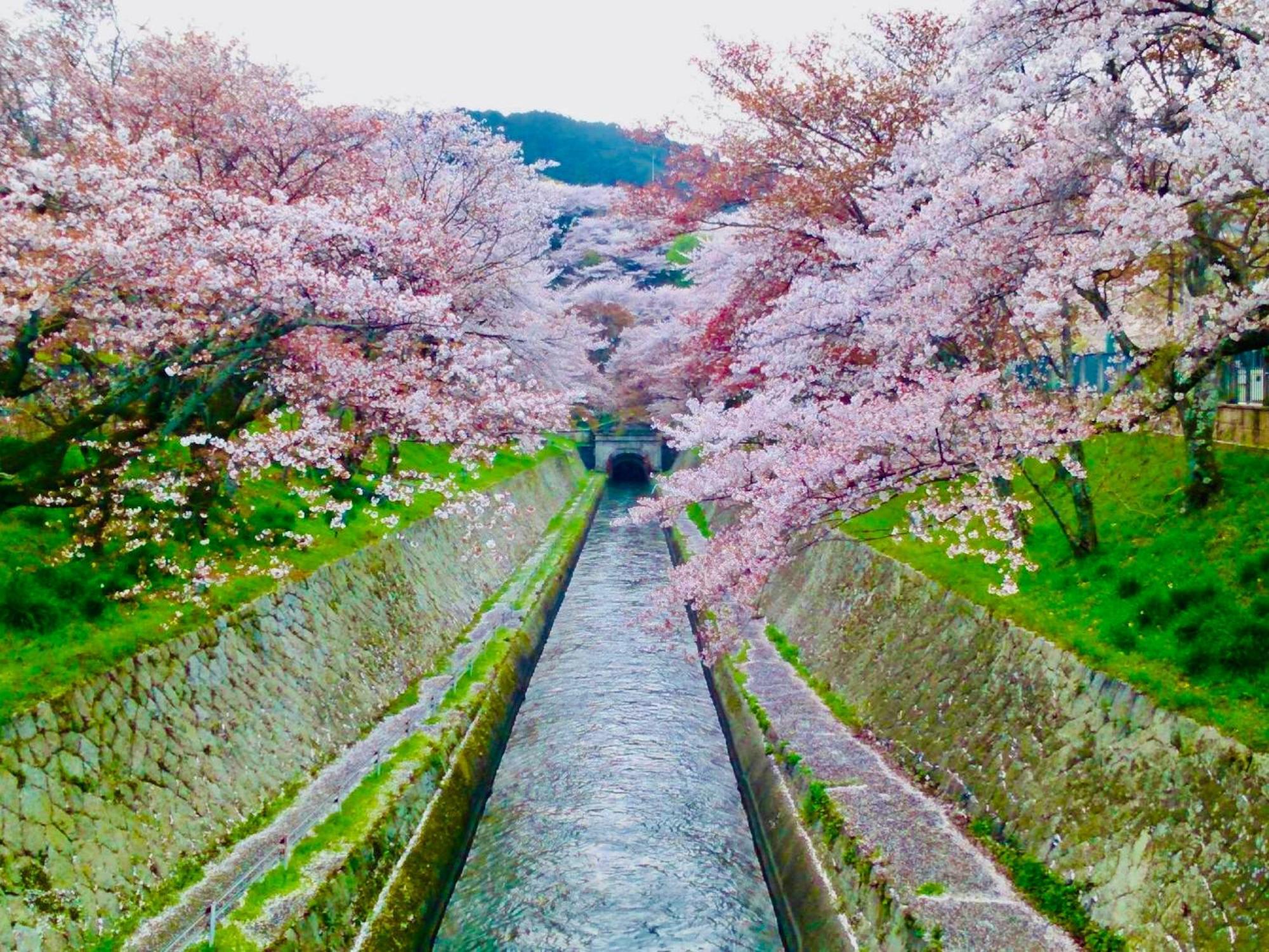 Koke Musu Inn 大津 外观 照片