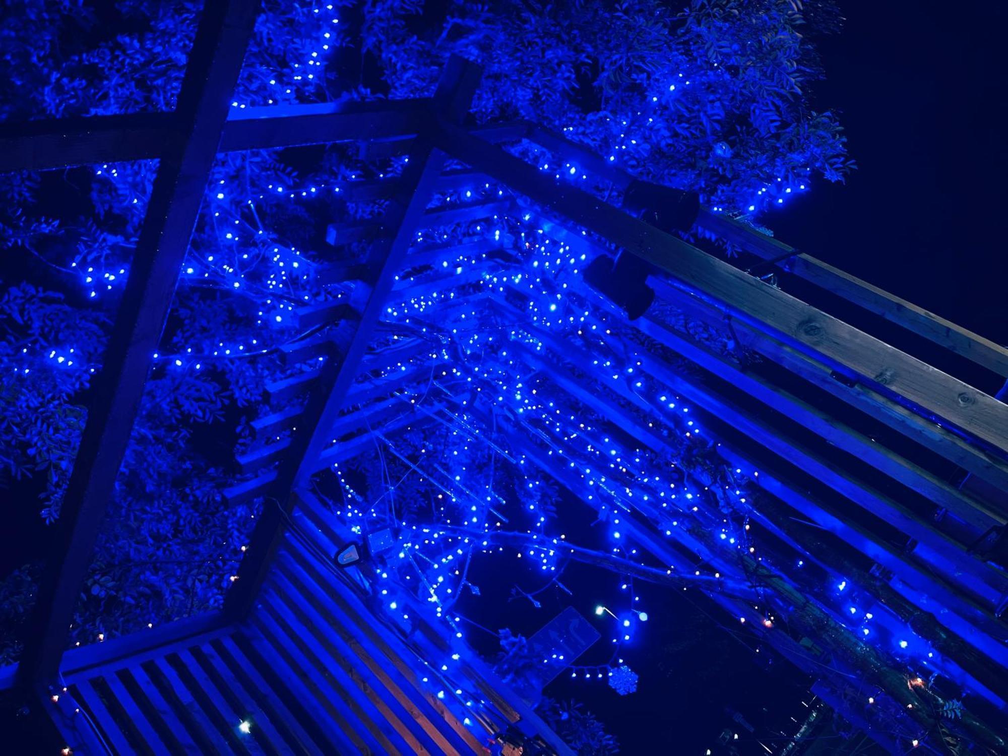 Koke Musu Inn 大津 外观 照片