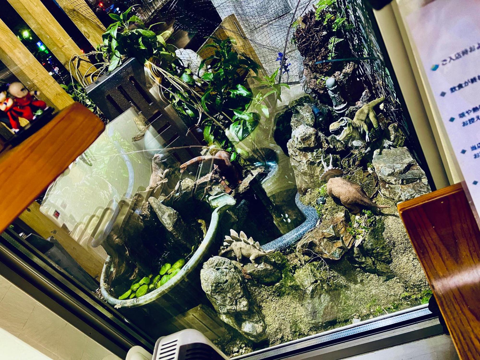 Koke Musu Inn 大津 外观 照片